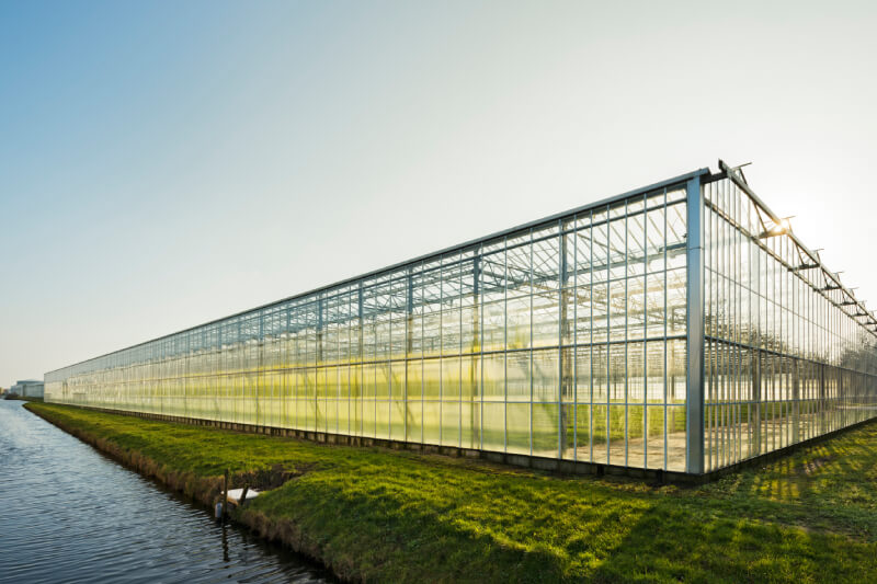 Greenhouse in Westland, an area with the highest concentration of greenhouses in Netherlands